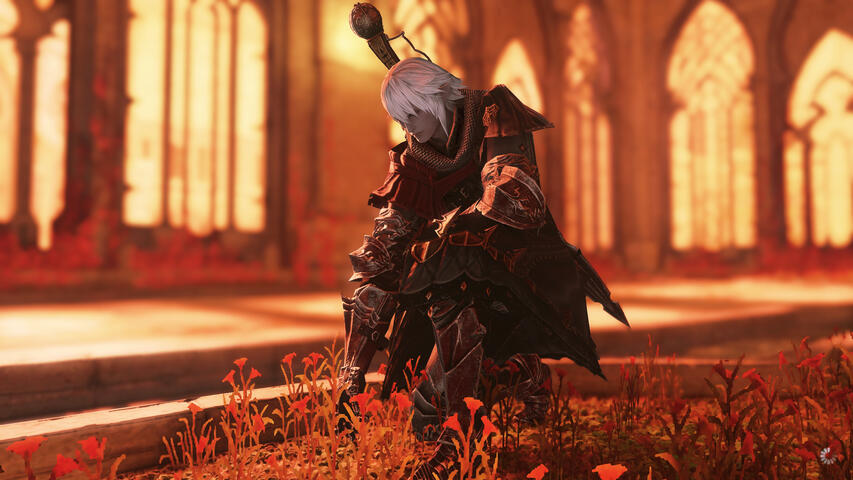 Hedge Knight